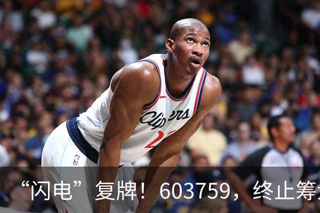 “闪电”复牌！603759，终止筹划重大事项