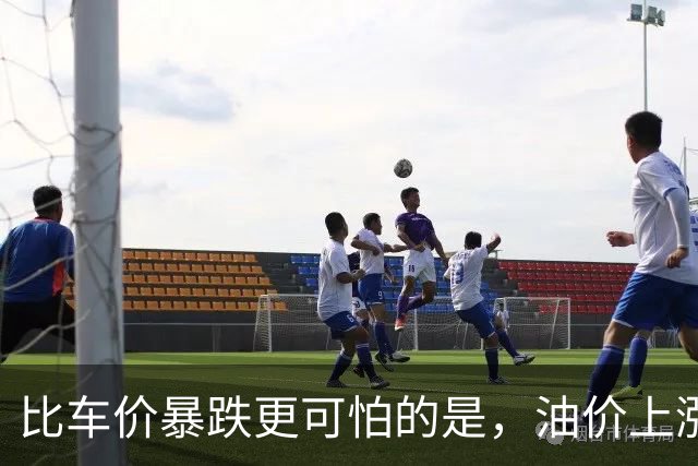 比车价暴跌更可怕的是，油价上涨到连县城的居民，都不想买油车了